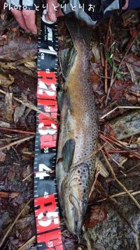 �֥饦��ȥ饦��