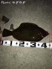 �ޥ����쥤