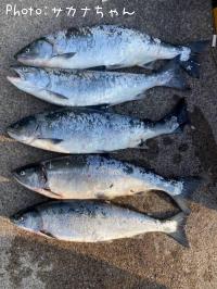 ¥µ¥¯¥é¥Þ¥¹