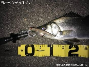 �����Х��ʥҥ饻������