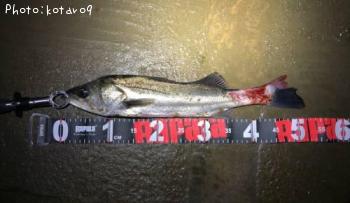 �����Х�