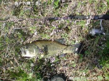 �֥�å��Х�