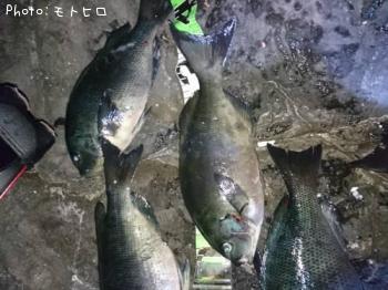 ��Ĺ�᥸��