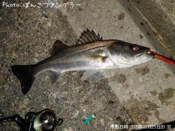 �����Х�