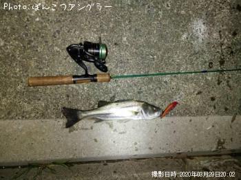 �����Х�