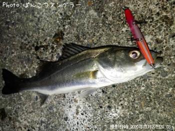 �����Х�