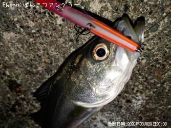 �����Х�