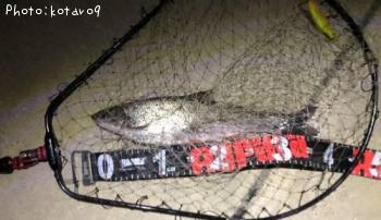 �ޥ륿������