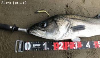 �����Х�