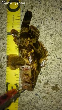 ¥¿¥±¥Î¥³¥á¥Ð¥ë