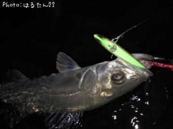 �����Х�