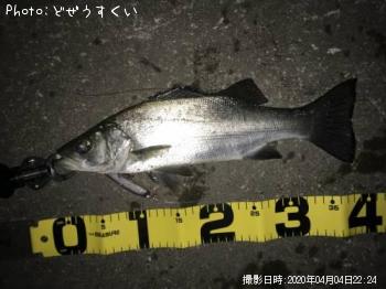 �����Х��ʥҥ饻������