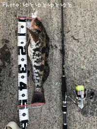 �����ʥ�