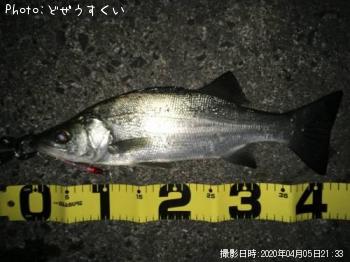 �����Х��ʥҥ饻������