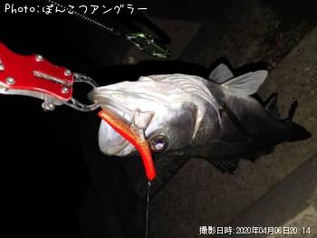 �����Х�