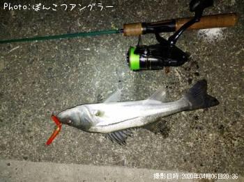 �����Х�