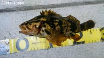 �����Υ���Х�