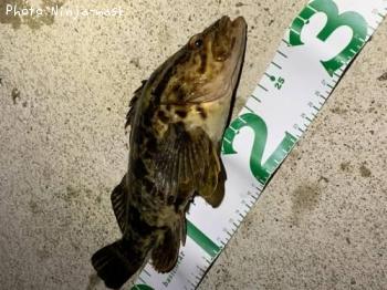 ¥¿¥±¥Î¥³¥á¥Ð¥ë