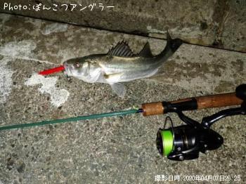 �����Х�