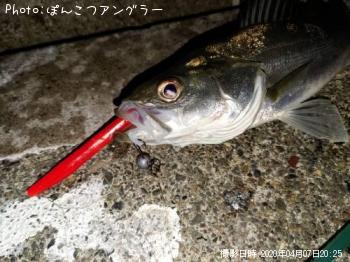 �����Х�