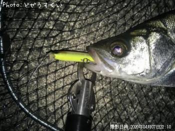 �����Х��ʥҥ饻������