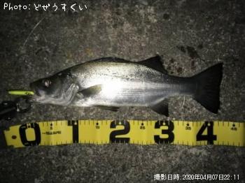 �����Х��ʥҥ饻������