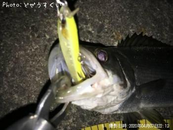 �����Х��ʥҥ饻������