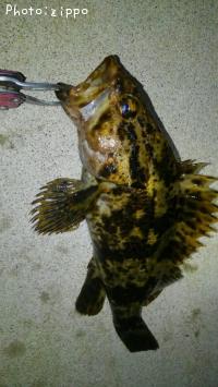 �����Υ���Х�