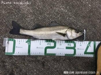 �����Х�