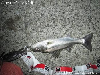 �����Х�