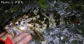 �����Υ���Х�