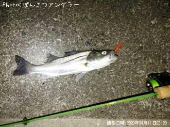 �����Х�