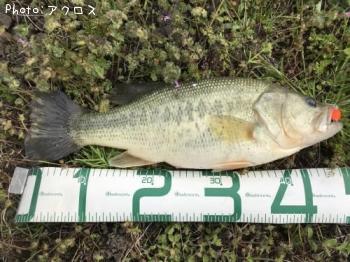 �顼���ޥ����Х�