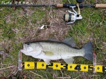 �֥�å��Х�