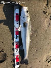 �����ե����Х�