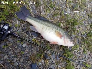 ¥Ö¥é¥Ã¥¯¥Ð¥¹