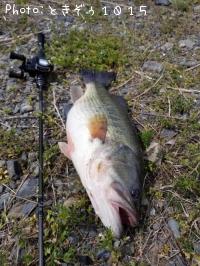 ¥Ö¥é¥Ã¥¯¥Ð¥¹