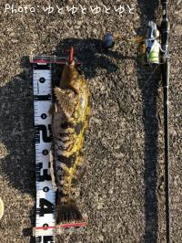 �����ʥ�