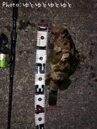 ¥¿¥±¥Î¥³¥á¥Ð¥ë