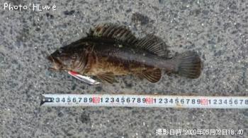 �����Υ���Х�