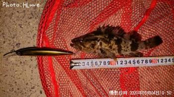 �����Υ���Х�