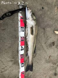 �����ե����Х�