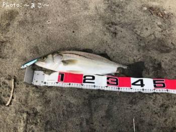 �����ե����Х�