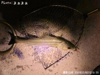 �����Х�