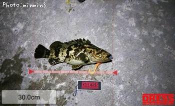 �����Υ���Х�