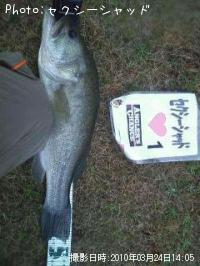 �֥�å��Х�