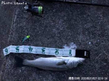 �����Х�