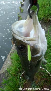 �����Х�