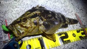 �����ȥ����Υ���Х�