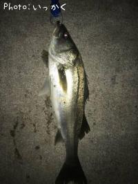 �����Х�